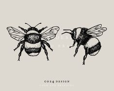 Bumble Bee Drawing, Bumblebee Drawing, Bee Sketch, Bumble Bee Tattoo, Bumble Bee Art, Bee Drawing, Bee Illustration, Bee Tattoo, Insect Art