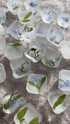 small glass dishes with blue flowers and green leaves