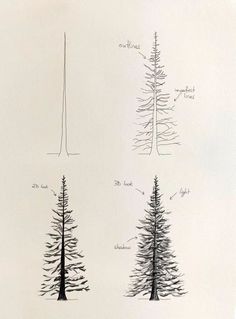 three different types of trees are shown in this drawing