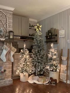 a living room filled with christmas trees and stockings