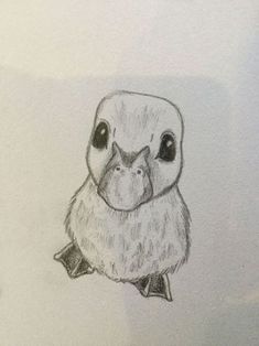 a pencil drawing of a bird with big eyes and an owl's head on its chest