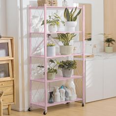 a pink shelf filled with potted plants on top of a hard wood floor