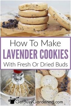 how to make lavender cookies with fresh or dried buds