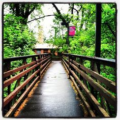 a wooden bridge in the middle of a forest with trees on both sides and a light pole above it