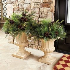 two vases filled with plants sitting on top of a floor next to a door