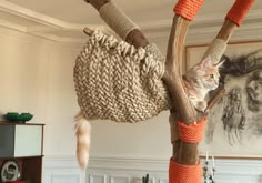 a cat sitting on top of a tree in a living room