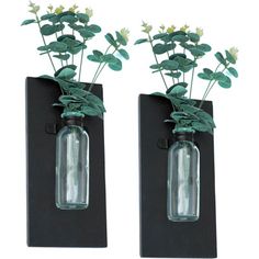 two glass vases with plants in them