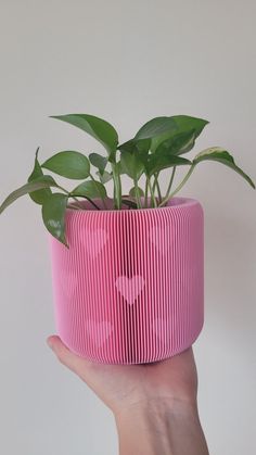 a hand holding a pink paper planter with green plants in it's center