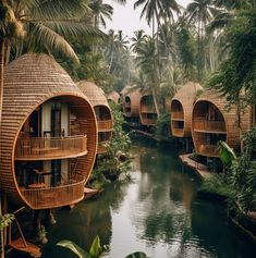 a river running through a lush green forest next to tall buildings with balconies