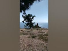 there is a man that is standing on top of a hill looking at the ocean