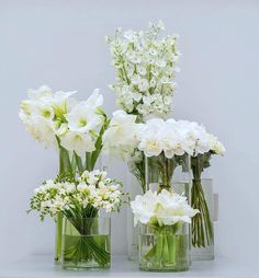 three vases with flowers are sitting on a table together, one is filled with water and the other has white flowers in it