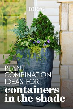 a planter filled with plants sitting on the side of a building that says plant combination ideas for containers in the shade