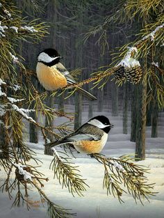 two birds are perched on branches in the snow near pine cones and fir trees,