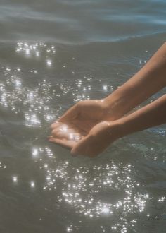 a person's hand reaching for something out of the water with sunlight shining on them