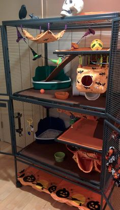 a bird cage filled with lots of birds and other things on top of it's shelves