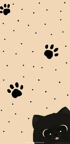 a black cat with paw prints on the wall