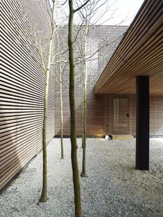 two trees in front of a building with wood slats on the walls and floor