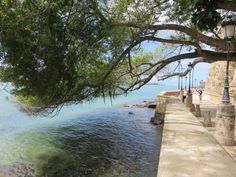 people are walking on the sidewalk next to the water and trees in front of them