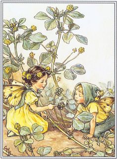 The Black Medick Fairies - Cicely Mary Barker 동화 삽화, Fairy Illustration, Fairy Pictures, Cicely Mary Barker, Children Playing, Fairies Elves, Vintage Fairies, Fairy Magic, Flower Fairies