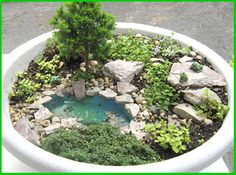 a potted plant with rocks and plants in it