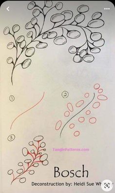 the drawing shows how to draw a tree branch with different colors and shapes on it