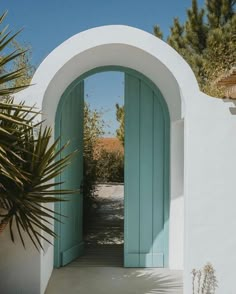 an open door to a white building with blue shutters and palm trees in the background