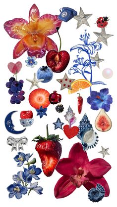 an assortment of flowers and fruit are arranged in the shape of a flower with stars on it