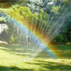 a sprinkle is spraying water on the lawn