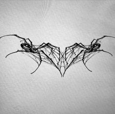 an artistic drawing of two bats on a white paper background with the word bat written in black ink