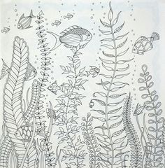 an underwater scene with plants and fish in black and white coloring book page for adults