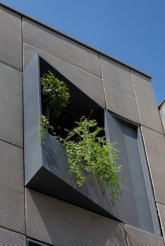 an open window on the side of a building with plants growing out of it's windows