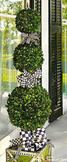 a boxwood topiary tree in front of a door with checkered ribbon on it