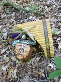 a group of items that are laying on the ground in the woods with leaves around them