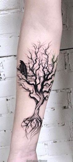 a black and white tree tattoo on the arm