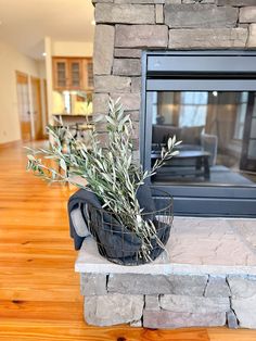 a potted plant sitting on top of a stone fireplace