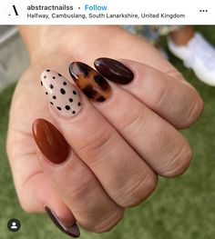 Tortishell Nails Design, Spot Nails, Fall Transition Nails, Monochromatic Nails, Boho Nails, Cute Gel Nails, Shellac Nails, Glam Nails, Brown Nails