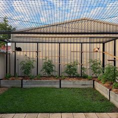 an enclosed garden area with various plants in it