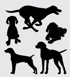 the silhouettes of dogs are shown in different positions and sizes, including one black dog