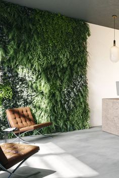 a living room with a couch and chair in front of a green wall that has plants growing on it