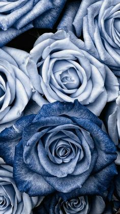 blue and white roses are arranged together