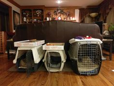 two dogs are sitting in their kennels on the floor next to each other