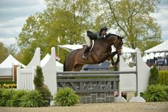 a person on a horse jumping over an obstacle