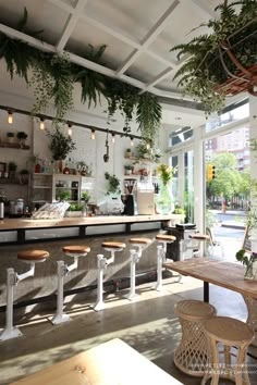 the inside of a restaurant with plants hanging from the ceiling and wooden tables in front of it