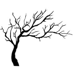 a tree with no leaves is shown in black and white