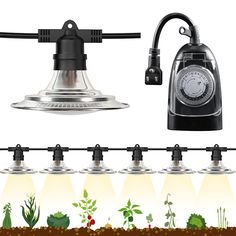 an image of a garden light with plants growing