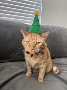 an orange tabby cat wearing a green knitted christmas hat on top of it's head