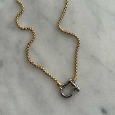 Silver Horse Bit Chunky Charm Clasp Carabiner Necklace Stainless Steel Brand New Carabiner Necklace, Silver Horse, Horse Bits, Necklace Brands, Jewelry Silver, Womens Jewelry Necklace, New Color, Silver Gold, Silver Jewelry