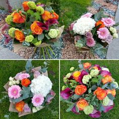 four different pictures of flowers in various stages of blooming, including oranges and pinks