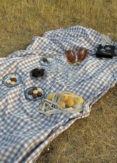 a picnic blanket on the ground with food