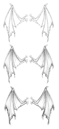 three dragon wings are shown in this drawing